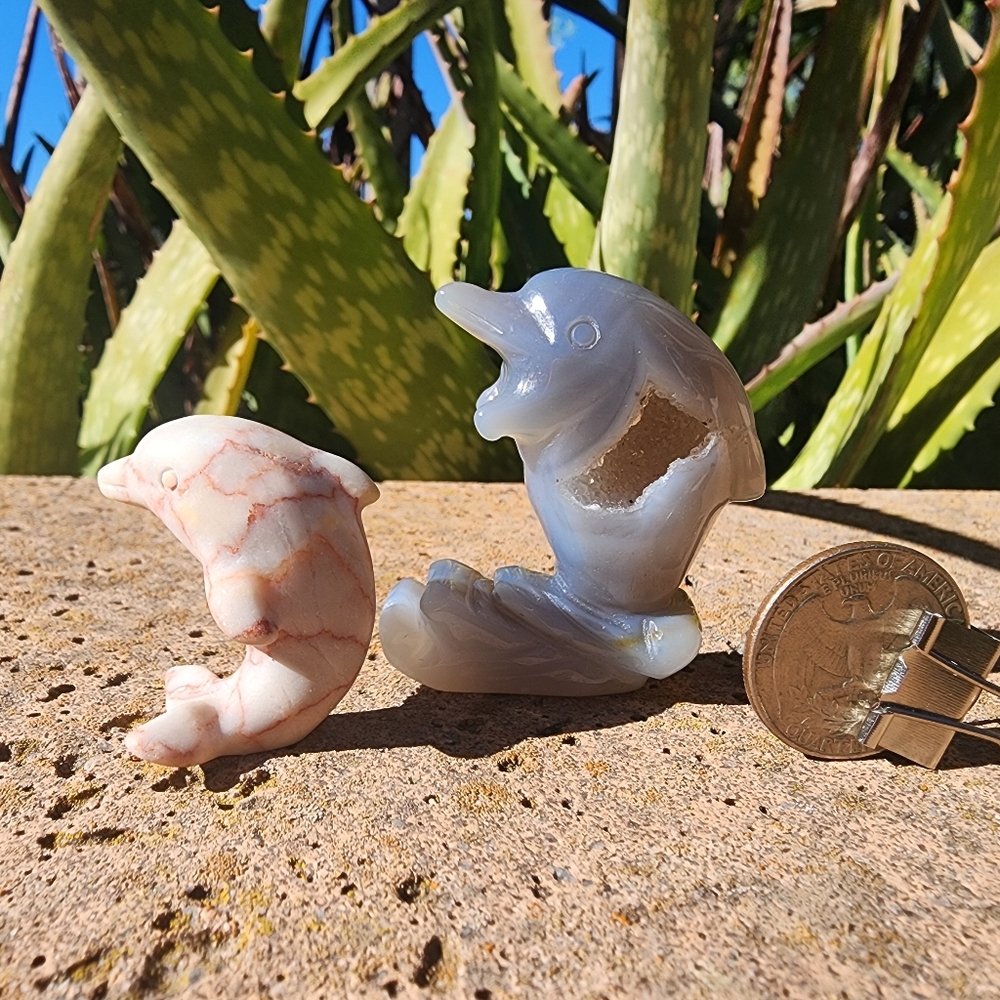 Crystal Dolphins